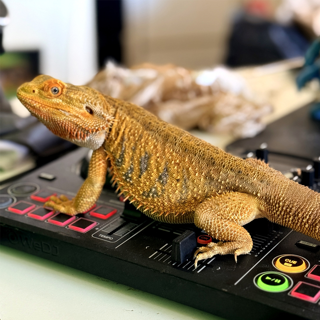 Ruby standing across a DJ controller with one foot on the performance pads